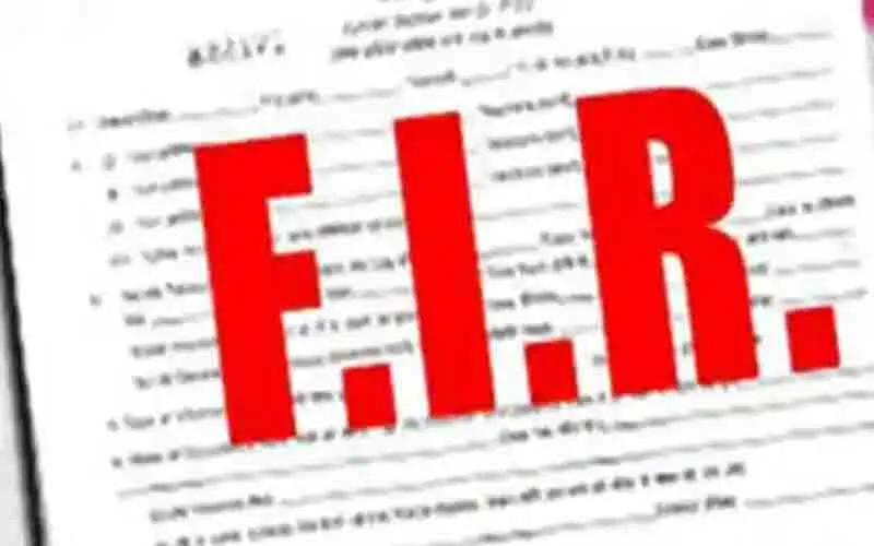 fir4.jpg