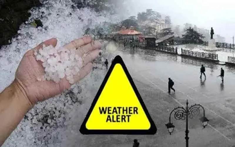 हिमाचल में शीतलहर तेज, रोहतांग सहित ऊंची चोटियों पर बर्फबारी