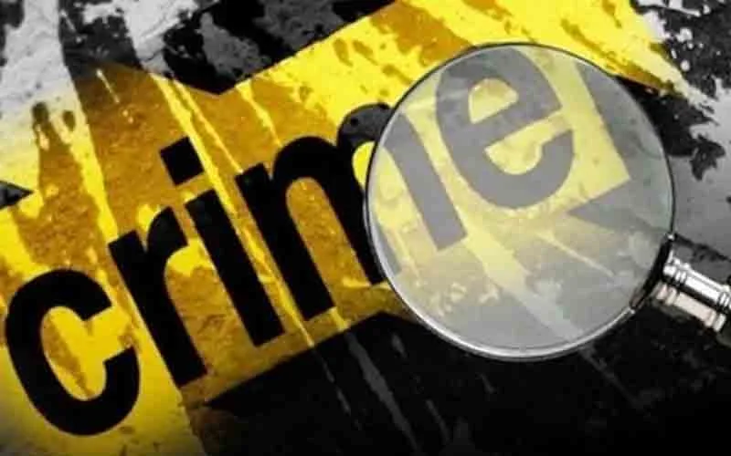 साइबर ठगों ने शेयर मार्केट में निवेश के नाम पर 30 लाख की ठगी को अंजाम