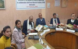 FRI-got-success-in-making-fiber- from-pine-leaves