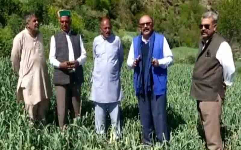 Kisan Sabha team took stock of garlic crop in Ghanduri