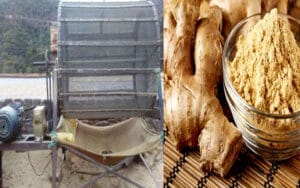 The souring of Indo-Pak relations is falling heavily on the dry ginger growers of Sirmaur district.