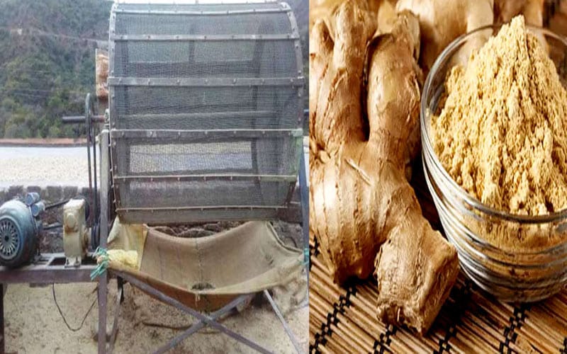 The souring of Indo-Pak relations is falling heavily on the dry ginger growers of Sirmaur district.