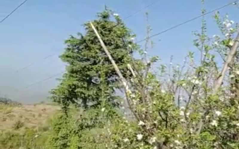 Electricity wires pose a danger to the gardeners and villagers,