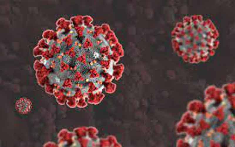 Coronavirus/ दैनिक संक्रमण दर में कल के मुकाबले मामूली बढ़ोतरी, 5910 नए मामले
