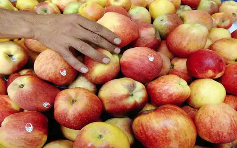 decrease-in-apple-color-and.jpg