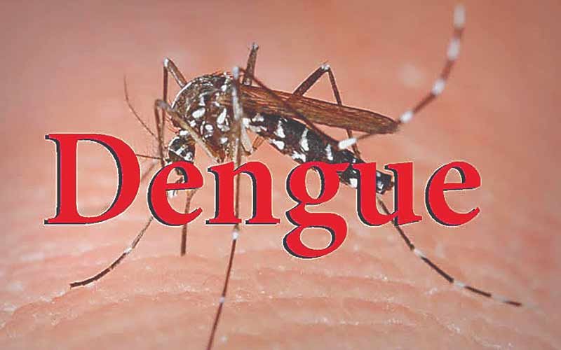 नहीं थम रहा डेंगू का प्रकोप, अब तक सामने आ चुके 1048 मामले