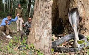 Symbal-Bada-Wildlife-Team-r