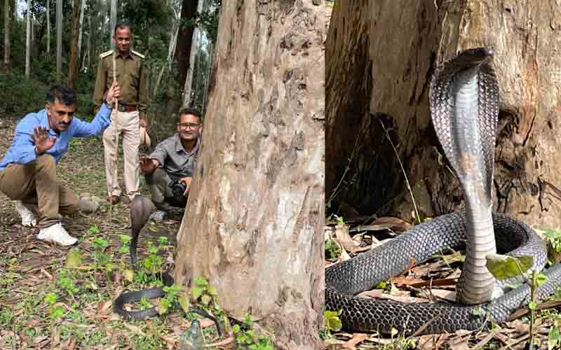 Symbal-Bada-Wildlife-Team-r