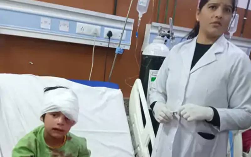Dog-attacked-two-children-p.jpg