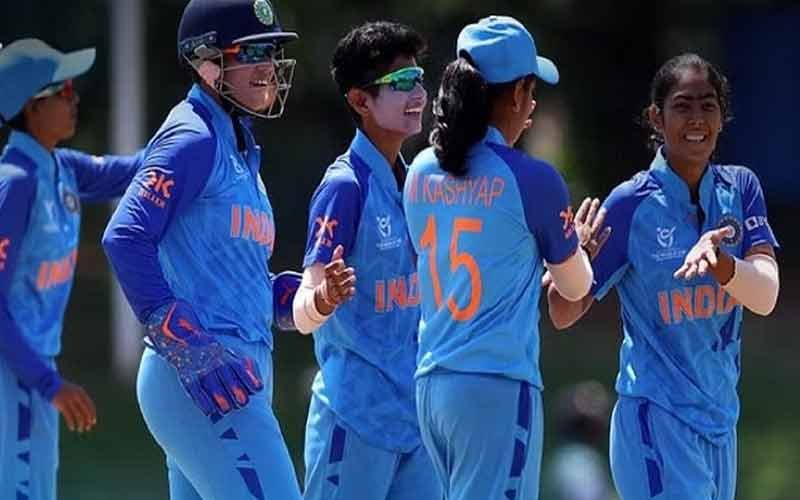 India made it to the World Cup final, trounced New Zealand by 8 wickets in the semi-finals