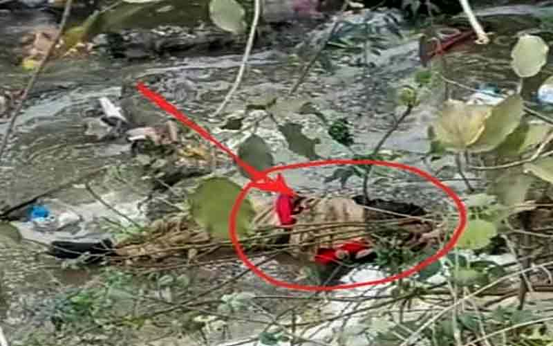 Dead-body-found-near-nahan-.jpg