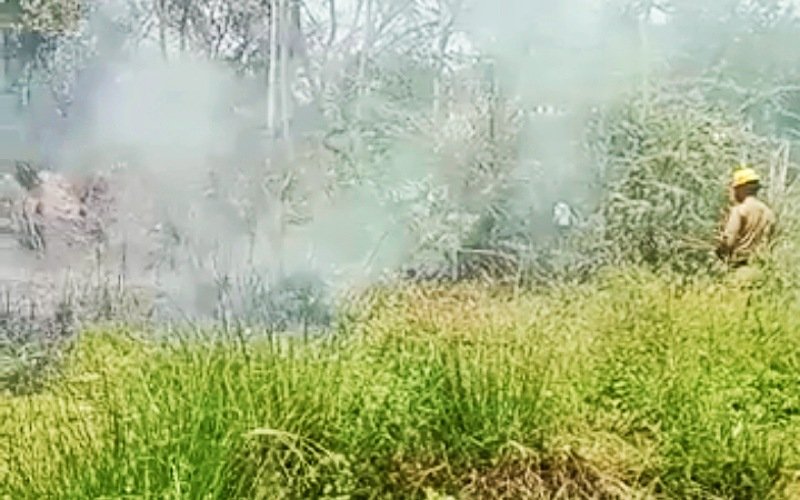 ब्लूस्टार फैक्ट्री के पास झाड़ियों में अचानक लगी आग, दमकल विभाग ने….