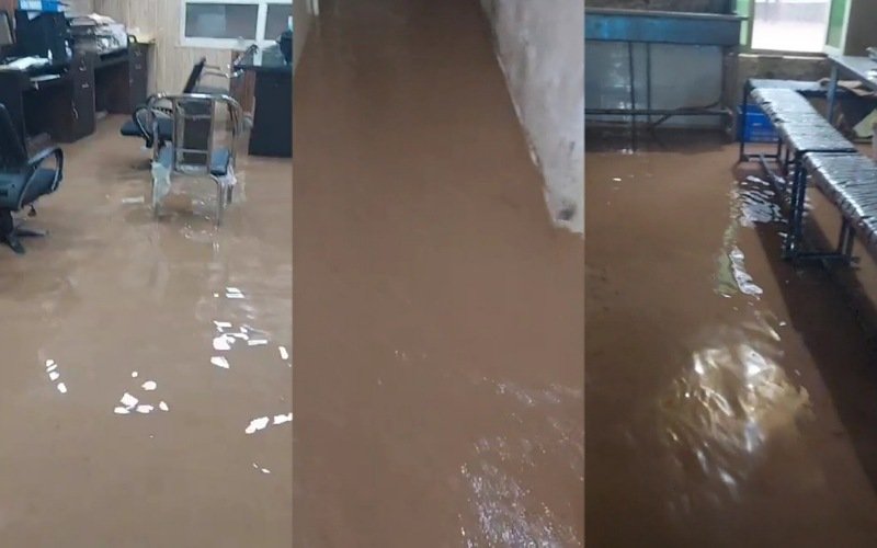 सैनवाला पंचायत में बारिश का कहर, राणा जी फूड इंडस्ट्री फिर से तबाह