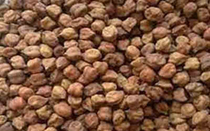 KALACHANA.jpg