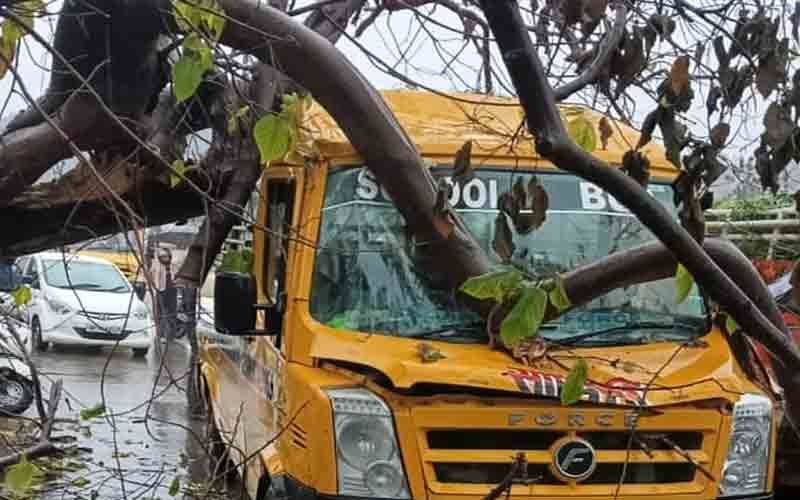 निजी स्कूल बस पर गिरा पेड़, सभी बच्चे सुरक्षित