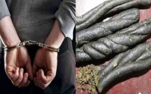 सिरमौर:पच्छाद में 172.9 ग्राम चरस के साथ धरे केस दर्ज