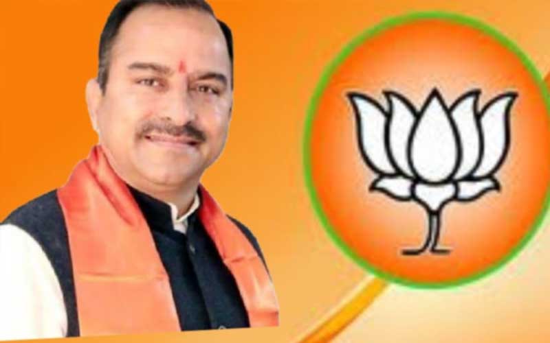 BJP11