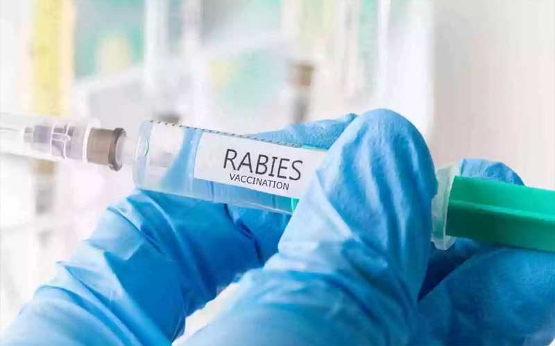 Anti-rabies-vaccination-of-.jpg
