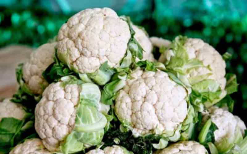 फूलगोभी के दाम में दोगुनी वृद्धि, किसानों को मिल रहा फायदा