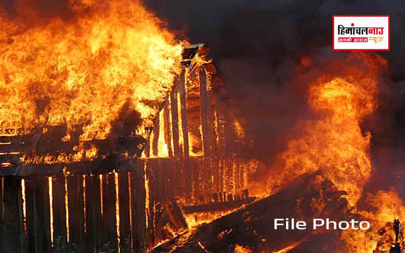 हिमाचल न्यूज़ | लेटेस्ट हिमाचल न्यूज़