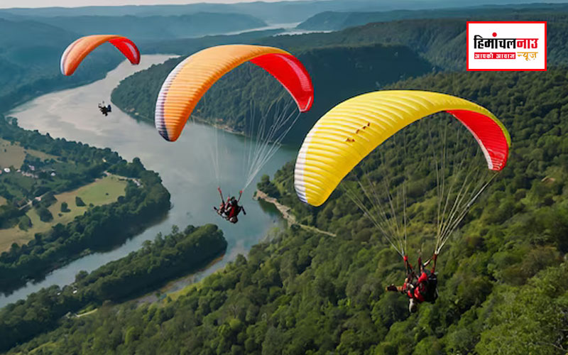 himachal news | paragliding competition