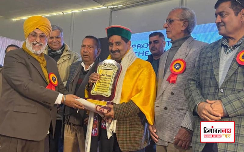 हिमाचल न्यूज़