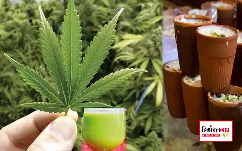 हिमाचल न्यूज़ | लेटेस्ट हिमाचल न्यूज़