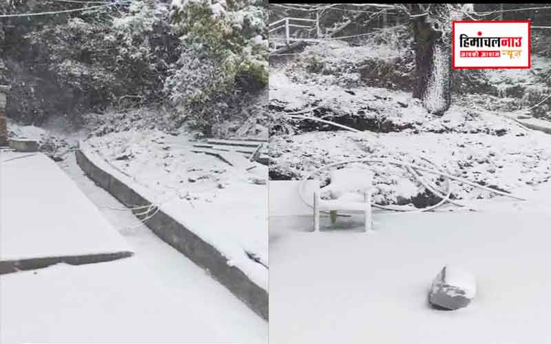 हिमाचल न्यूज़ | लेटेस्ट हिमाचल न्यूज़