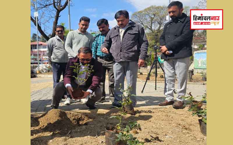 हिमाचल न्यूज़ | लेटेस्ट हिमाचल न्यूज़