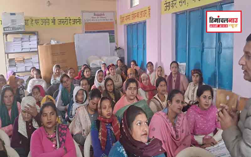 हिमाचल न्यूज़ | लेटेस्ट हिमाचल न्यूज़