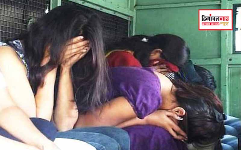 हिमाचल न्यूज़ | लेटेस्ट हिमाचल न्यूज़